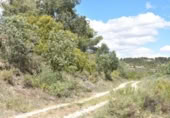 Xalet independent amb terreny en venda a la España, Arenys de Lledó, ref.: TR311454 foto