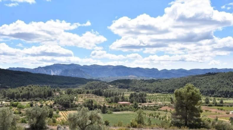 Teruel - Arens de Lledó - 11331m2