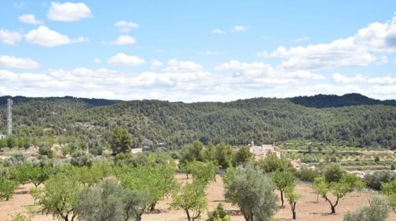 Teruel - Arens de Lledó - 11331m2