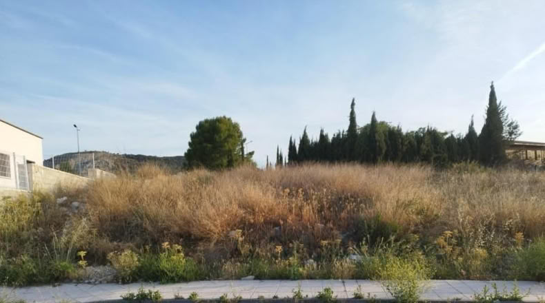 Múrcia - Calasparra - 630m2