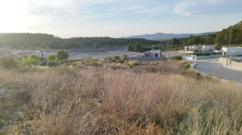 Múrcia - Calasparra - 630m2