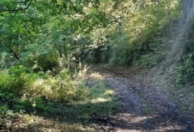 Foto 7