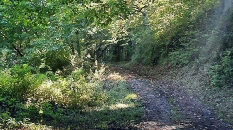 Cantabria - La Puente - 200m2