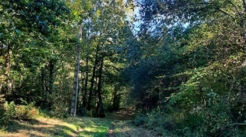 Cantabria - La Puente - 200m2