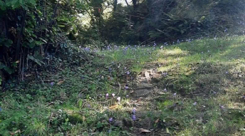 Cantabria - La Puente - 200m2