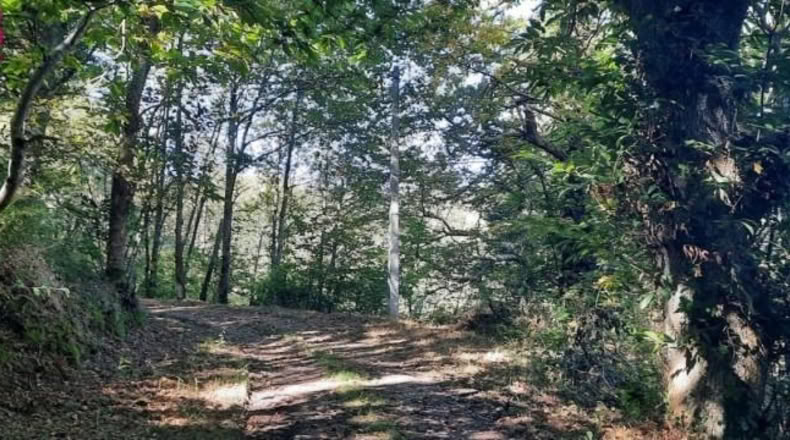 Cantabria - La Puente - 200m2