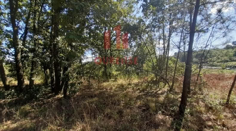 Orense - Barbadás - 900m2