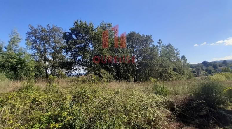 Orense - Barbadás - 900m2