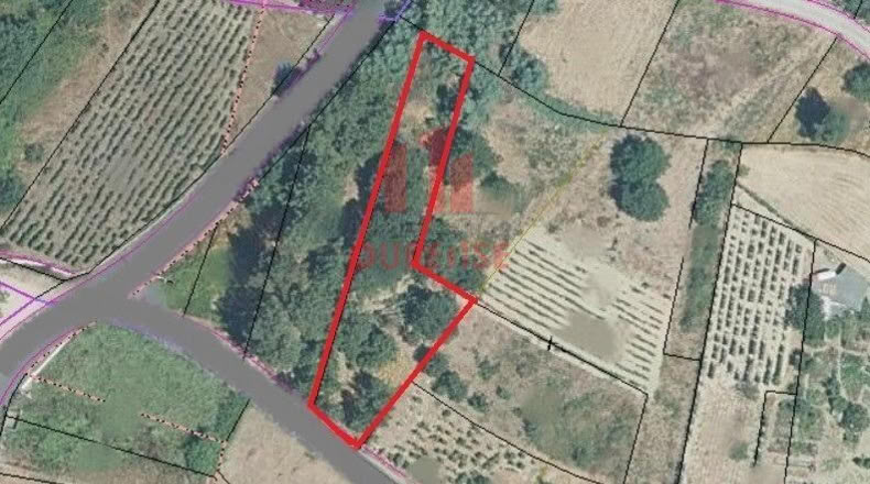 Orense - Barbadás - 900m2