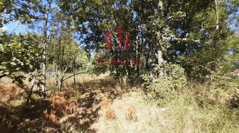 Orense - Barbadás - 900m2