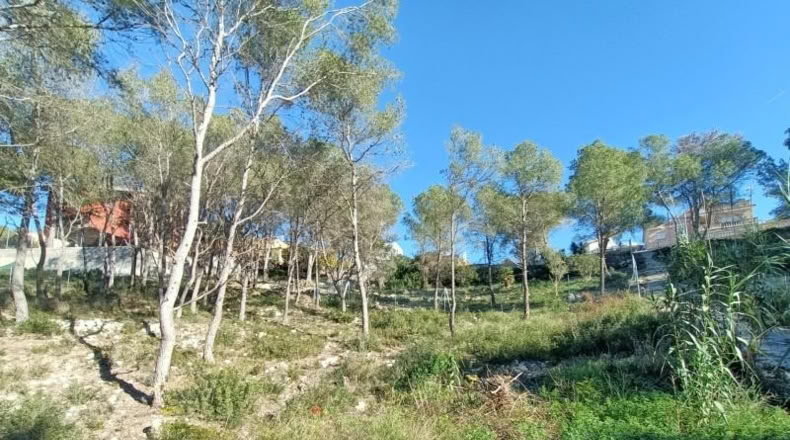 Barcelona - Canyelles - 414m2