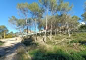 Sòl urbà en venda a la España, Canyelles, ref.: TR126491 foto