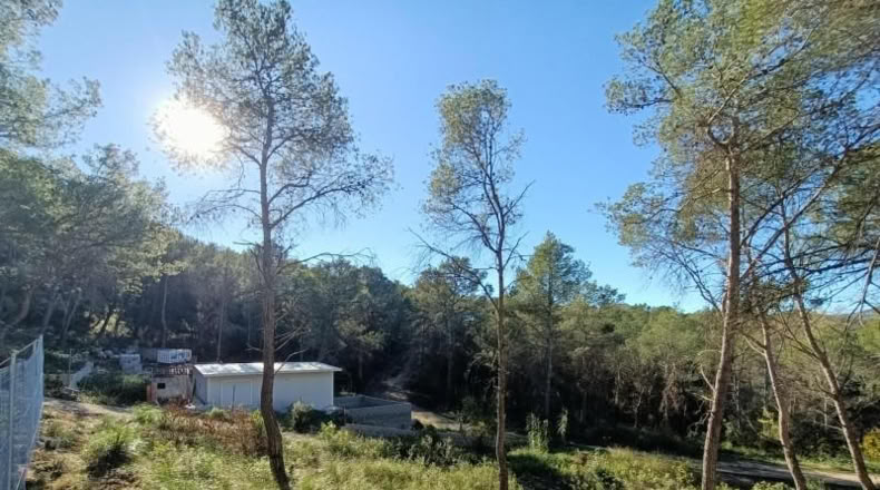 Barcelona - Canyelles - 414m2