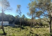Sòl urbà en venda a la España, Canyelles, ref.: TR126491 foto