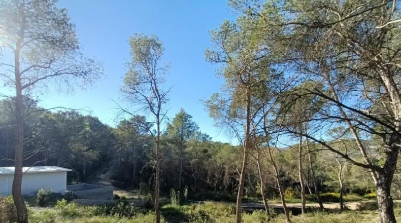 Barcelona - Canyelles - 414m2