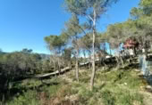 Sòl urbà en venda a la España, Canyelles, ref.: TR126491 foto