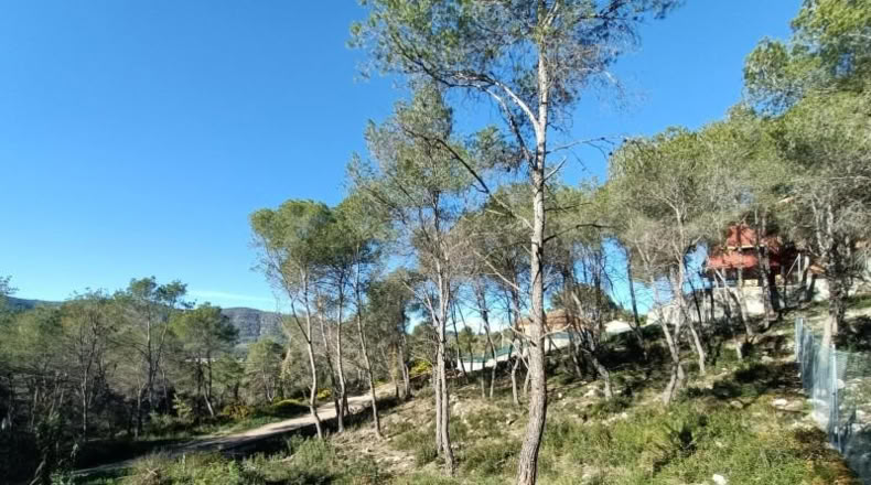 Barcelona - Canyelles - 414m2