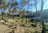 Sòl urbà en venda a la España, Canyelles, ref.: TR126491 foto