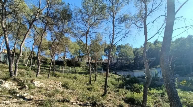 Barcelona - Canyelles - 414m2