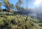 Sòl urbà en venda a la España, Canyelles, ref.: TR126491 foto