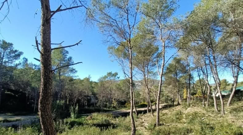 Barcelona - Canyelles - 414m2