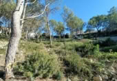 Sòl urbà en venda a la España, Canyelles, ref.: TR126491 foto