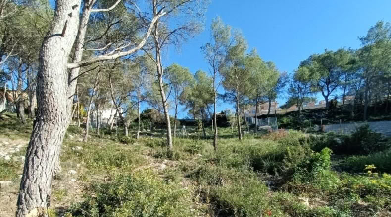 Barcelona - Canyelles - 414m2