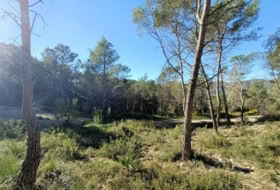 Foto 9