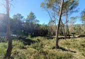 Sòl urbà en venda a la España, Canyelles, ref.: TR126491 foto