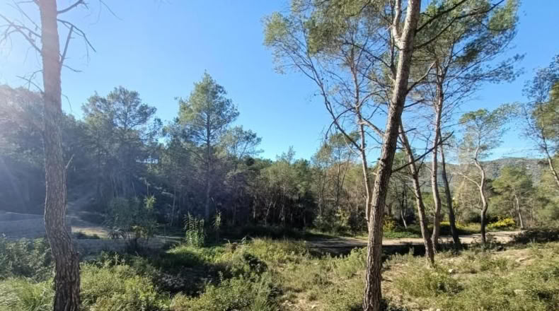 Barcelona - Canyelles - 414m2