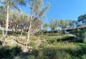 Sòl urbà en venda a la España, Canyelles, ref.: TR126491 foto