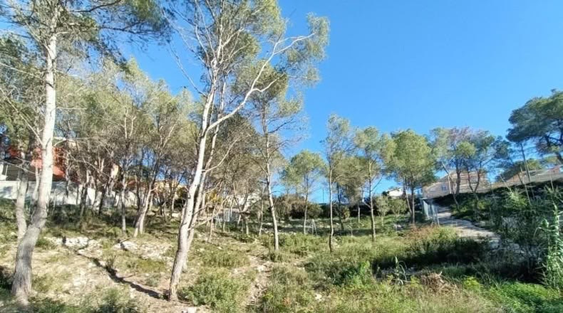 Barcelona - Canyelles - 414m2