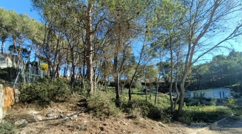 Barcelona - Canyelles - 426m2