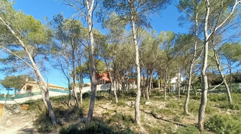 Barcelona - Canyelles - 426m2