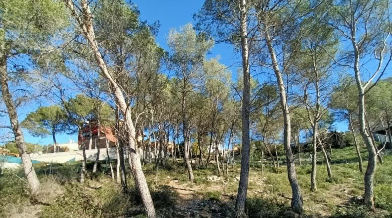 Barcelona - Canyelles - 426m2