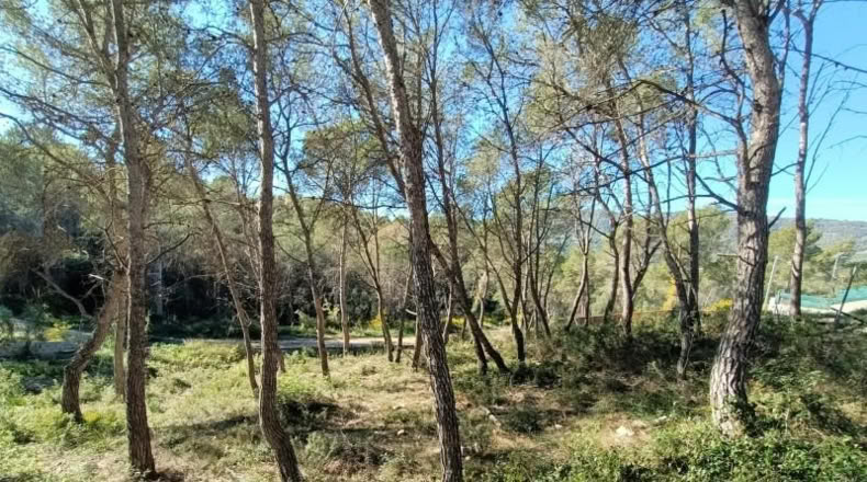 Barcelona - Canyelles - 426m2