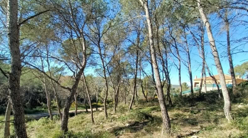 Barcelona - Canyelles - 426m2