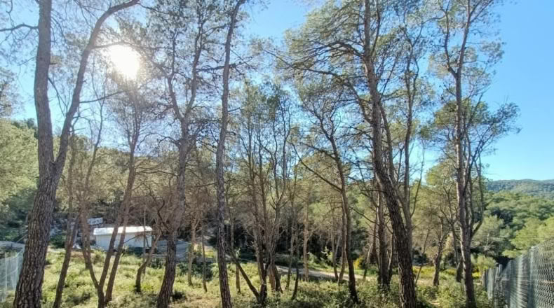 Barcelona - Canyelles - 426m2