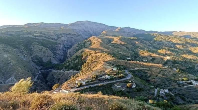 Málaga - Sedella - 5945m2