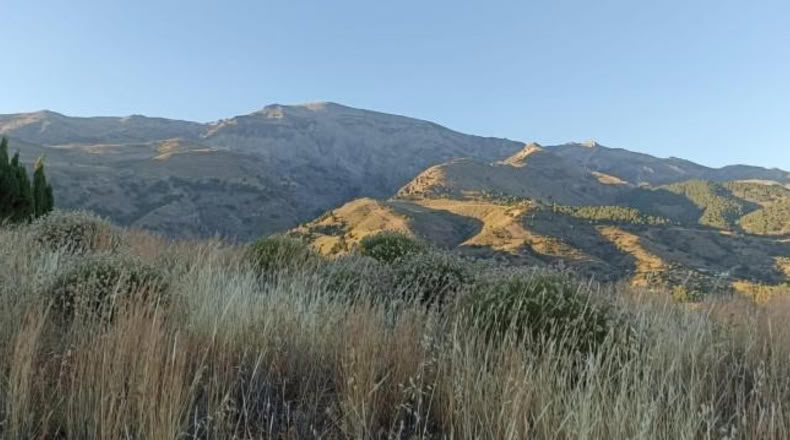 Málaga - Sedella - 5945m2