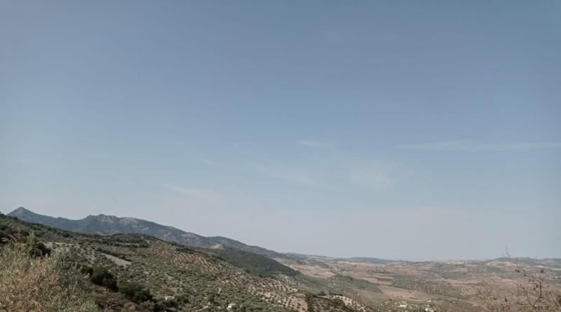 Cádiz - Zahara - 69m2