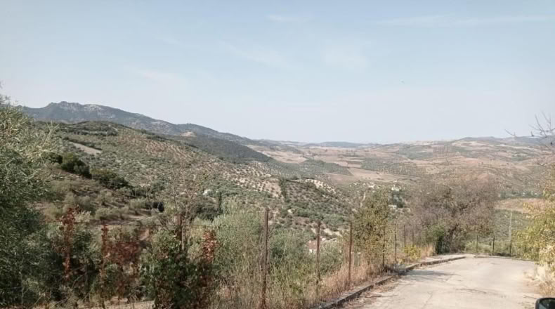 Cádiz - Zahara - 69m2