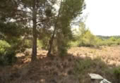 House with land for sale on España, Torrent, ref: TR304851 photo
