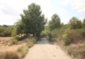House with land for sale on España, Torrent, ref: TR304851 photo