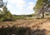 House with land for sale on España, Torrent, ref: TR304851 photo