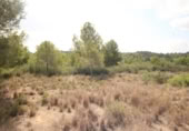 House with land for sale on España, Torrent, ref: TR304851 photo