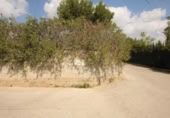 House with land for sale on España, Torrent, ref: TR304851 photo