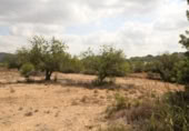 House with land for sale on España, Torrent, ref: TR304851 photo
