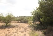 House with land for sale on España, Torrent, ref: TR304851 photo