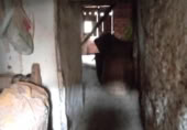 Casa de poble en venda a la España, Fórnols, ref.: TR299924 foto